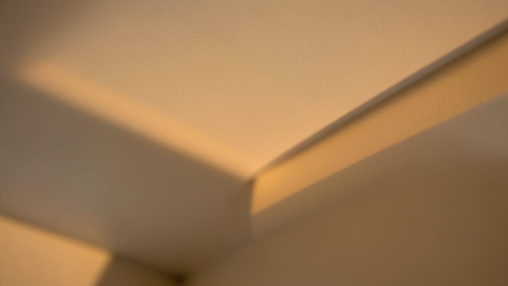 How Mold Affects Indoor Air Quality in Line Lexington Homes
