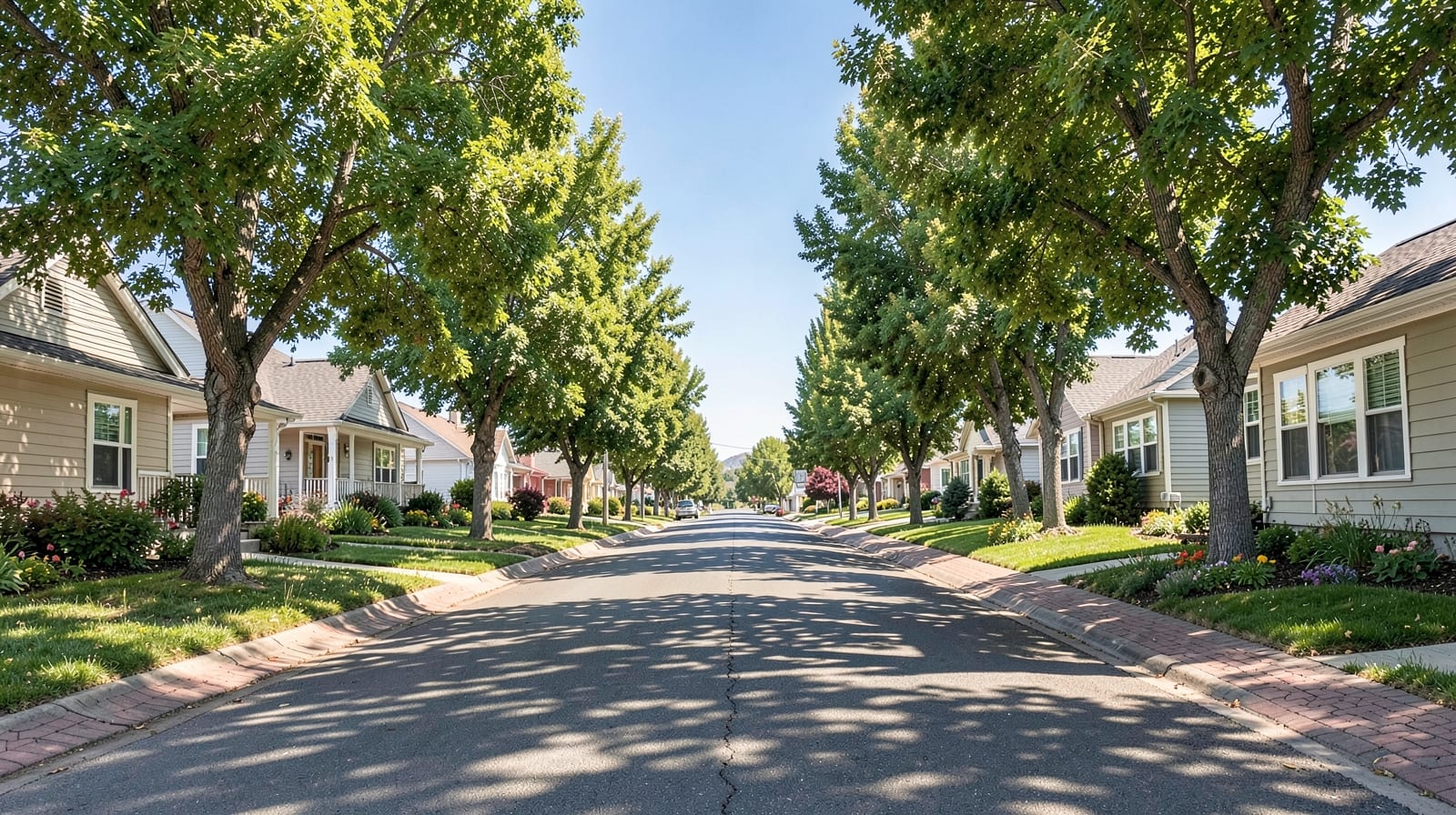 Mold Inspection in Old Colorado City, CO