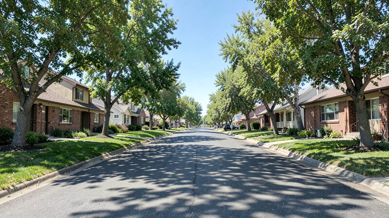 Sewer Backup Mold Cleanup in Woodland Park, CO