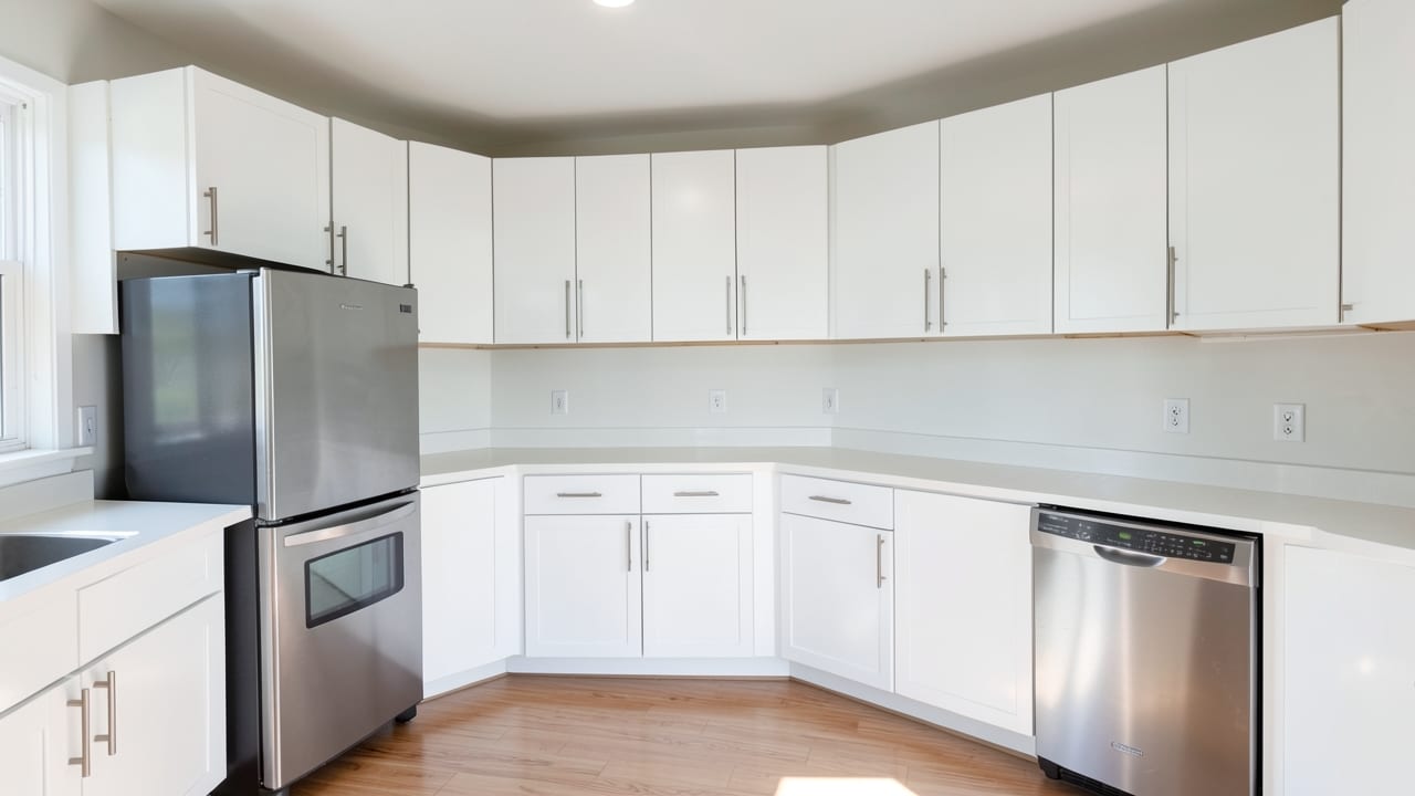 Kitchen Mold Cleanup in Manitou Springs, CO in Manitou Springs