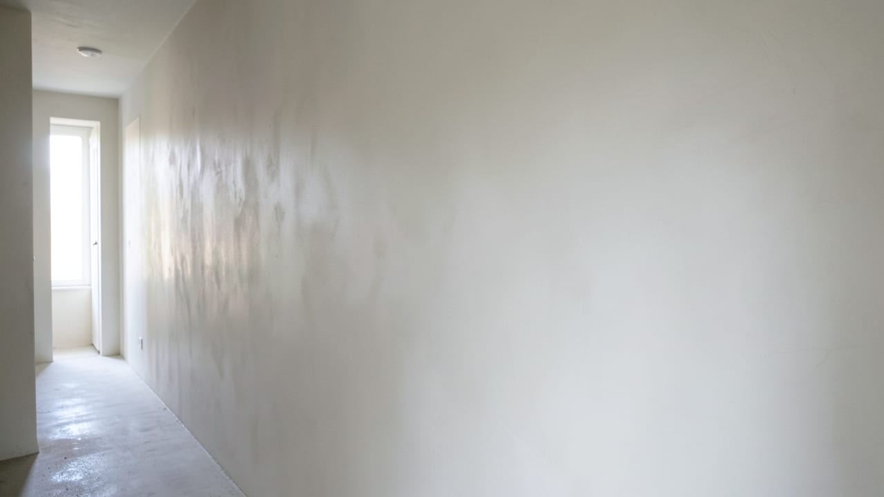 Plaster Mold Remediation in Manitou Springs, CO in Manitou Springs