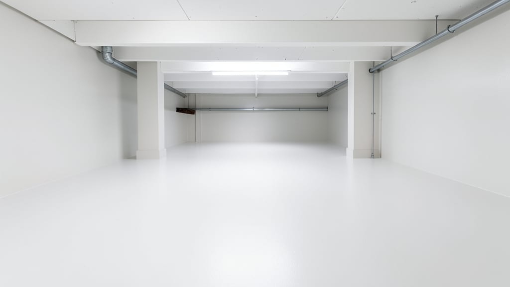The Step-by-Step Process Pros Use for Mold Removal in Milford Square