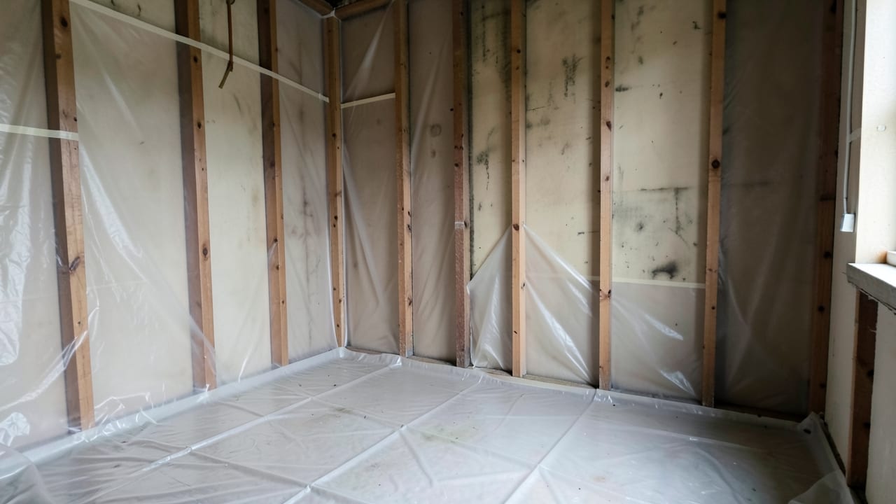Mold Removal & Remediation in Milford Square, PA in Milford Square