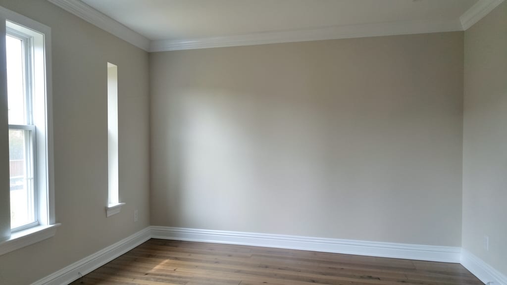 Black Mold and Chronic Illness