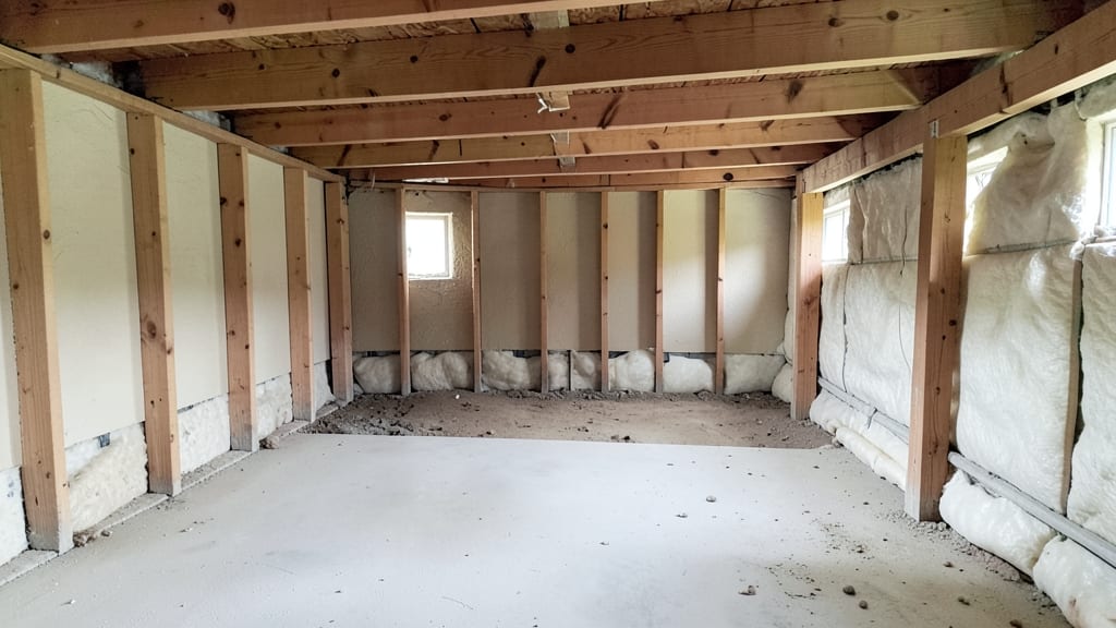 How to Detect Toxic Mold Before It Harms Your Health in Milltown