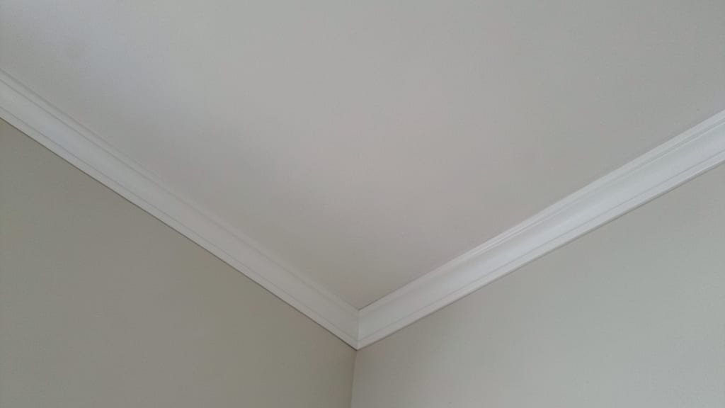 Preventing Mold in Milltown’s Humid Summers