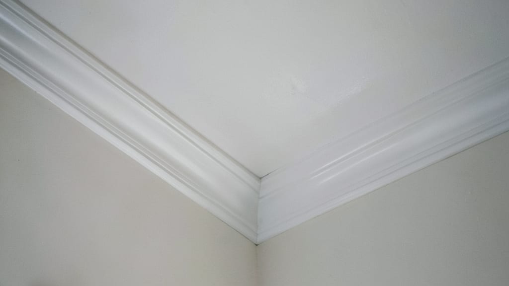 When to Use Biocides and Antimicrobials in Mold in Milltown