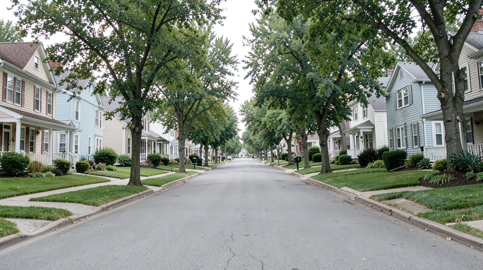 Spring Mold Inspection in New Brunswick, NJ
