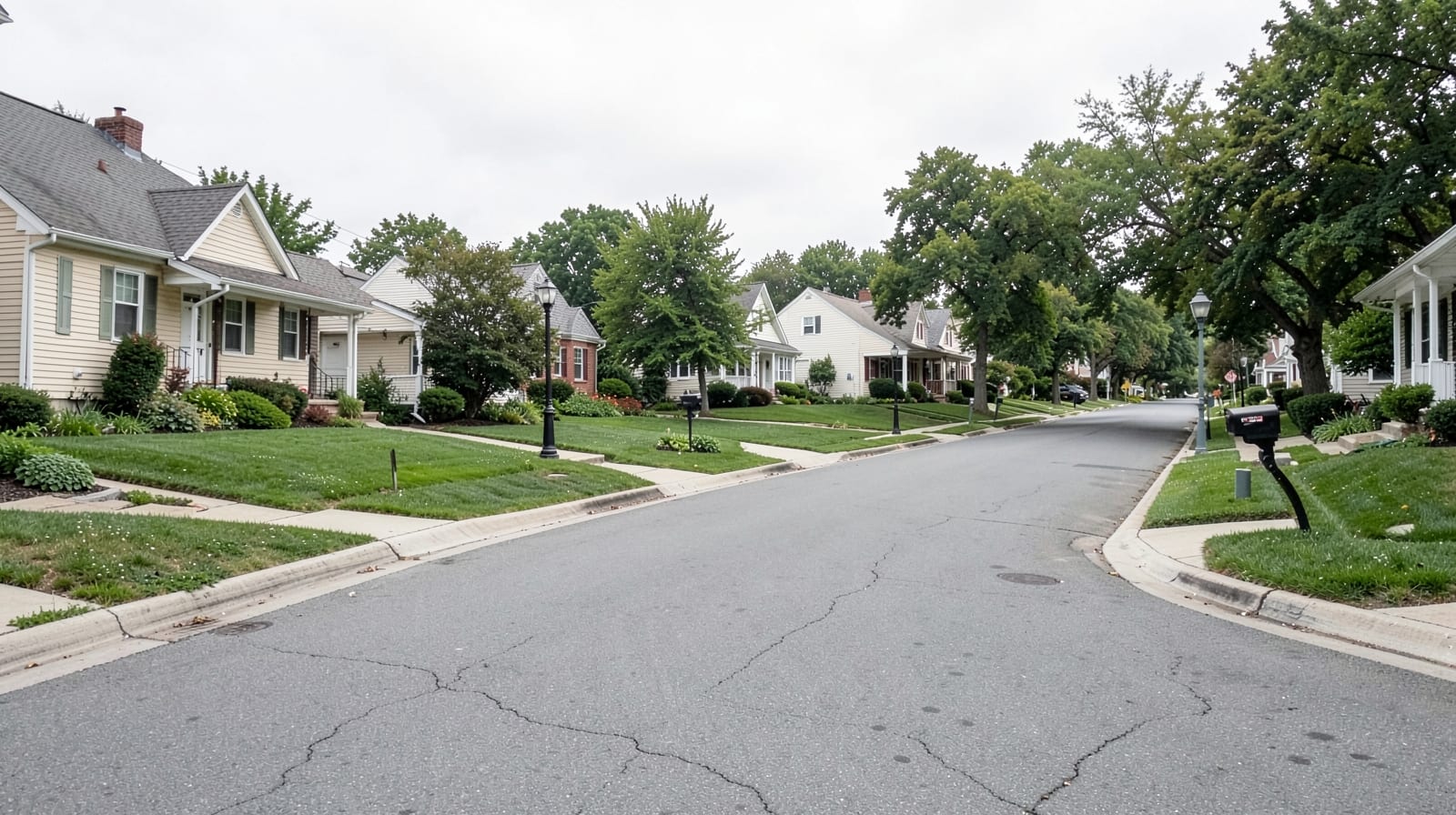 Mold Remediation in South River, NJ