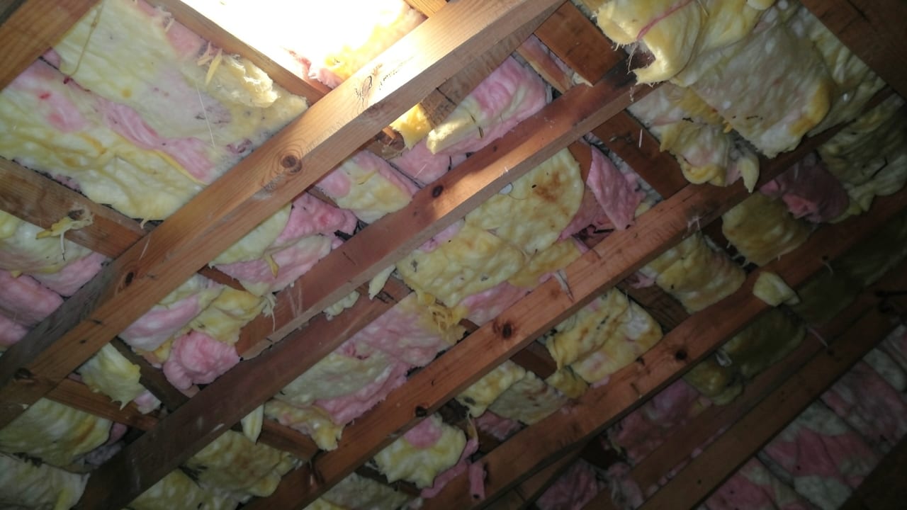 Attic Mold Remediation in Milltown, NJ in Milltown