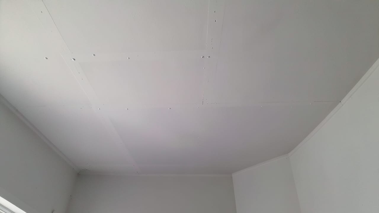 Ceiling Mold Removal in Milltown, NJ in Milltown
