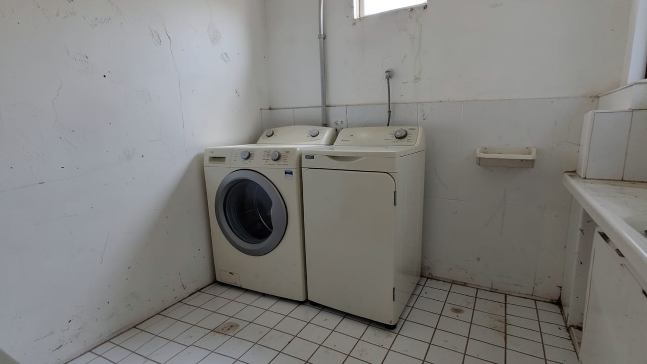 Laundry Room Mold Cleanup in Milltown, NJ in Milltown