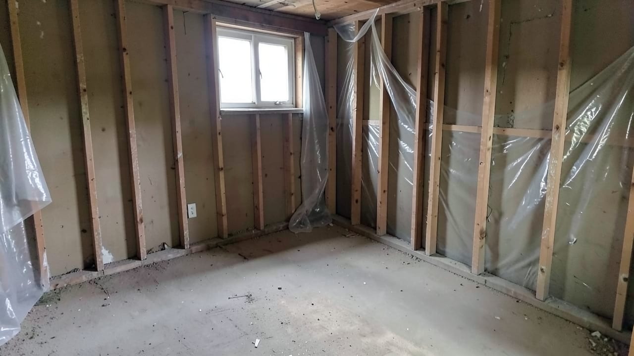 Mold Removal & Remediation in Milltown, NJ in Milltown