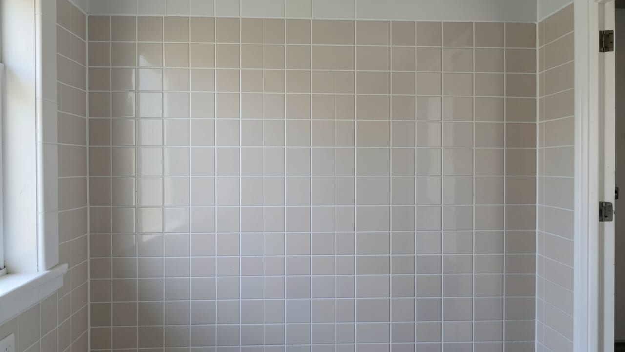 Tile & Grout Mold Cleanup in Milltown, NJ in Milltown