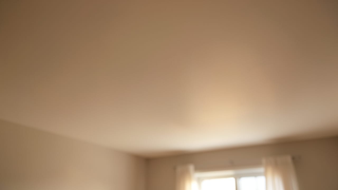 Ceiling Mold Removal in Mission Valley, CA in Mission Valley