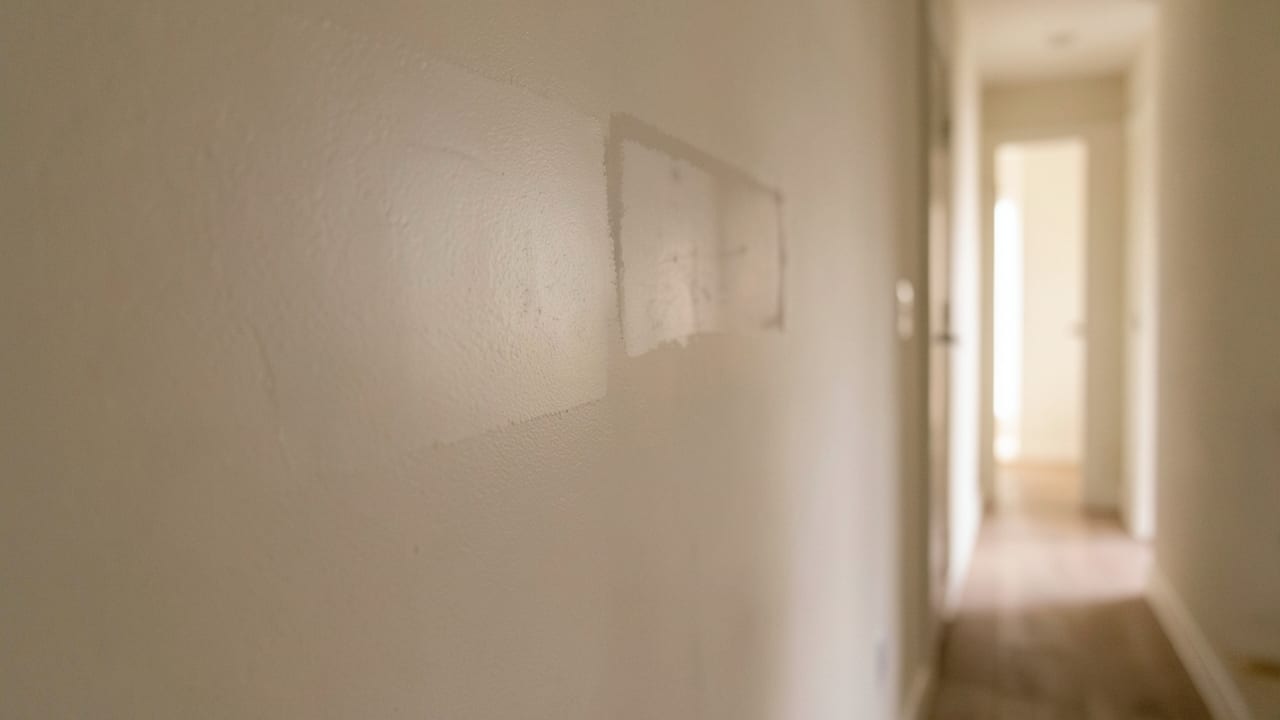 Drywall Mold Remediation in Mission Valley, CA in Mission Valley