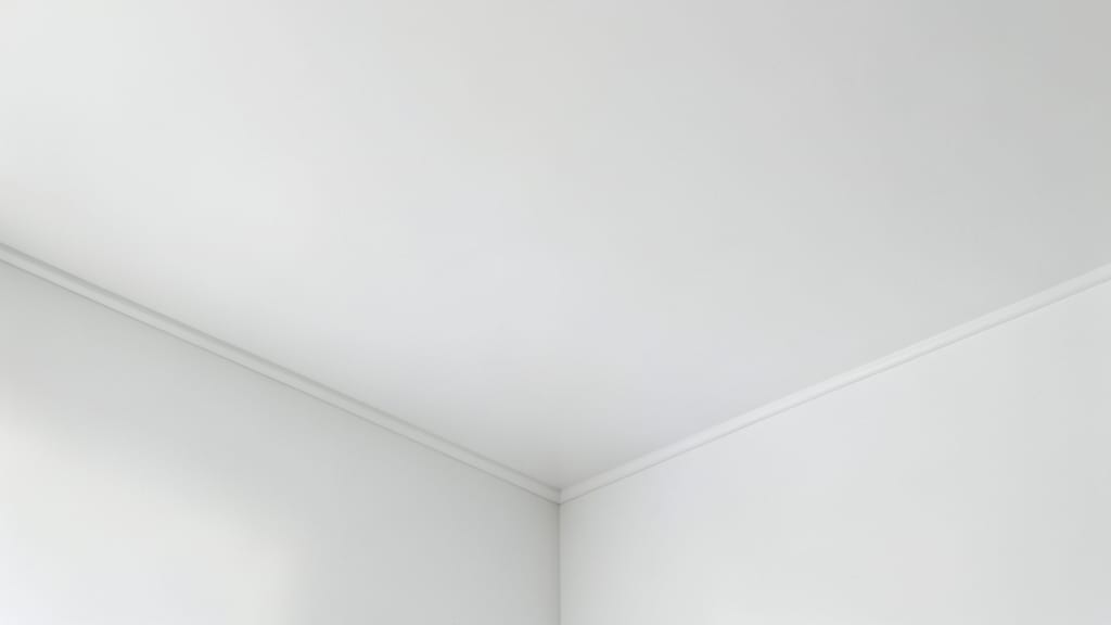 The Cost of Mold in Freehold Commercial Buildings: Why Early Intervention Saves Money
