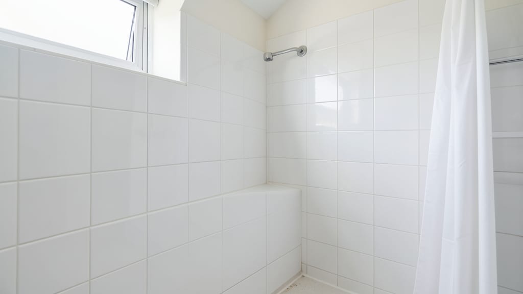 How Freehold’s Building Codes Shape Mold Remediation