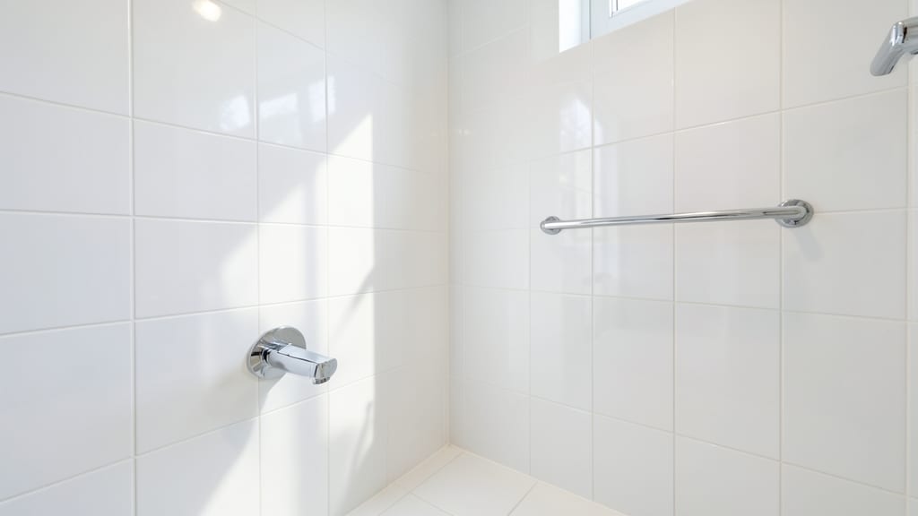 Why Freehold Landlords Need Post-Rental Vacancy Mold Inspections