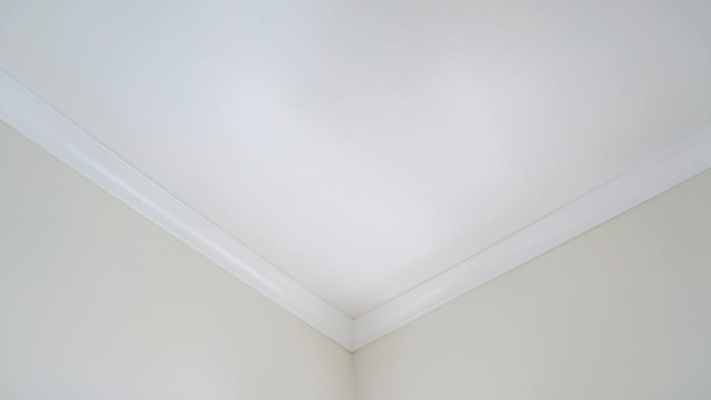 Expert Tips to Keep Your Basement Dry in Freehold