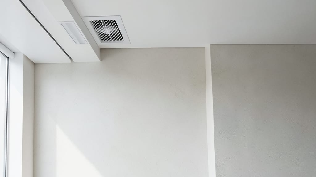Understanding Mold Clearance Standards for Freehold Homeowners