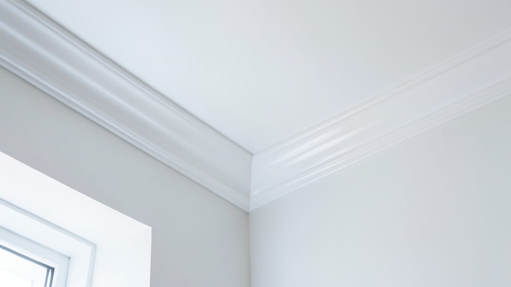 New Jersey Mold Disclosure Laws Explained for Freehold Home
