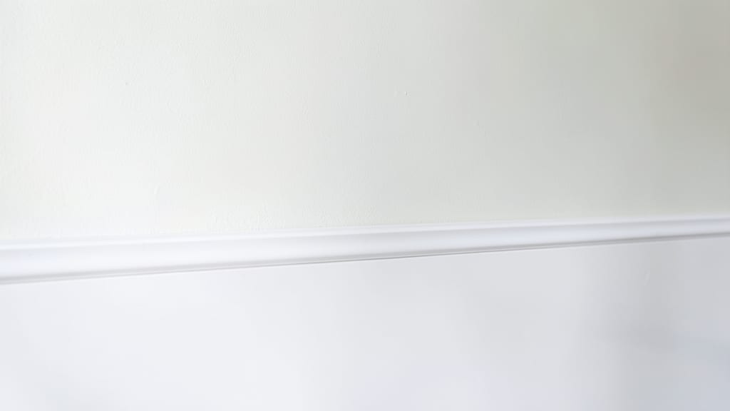 How Seasonal Changes Impact Mold Remediation Costs in Freehold
