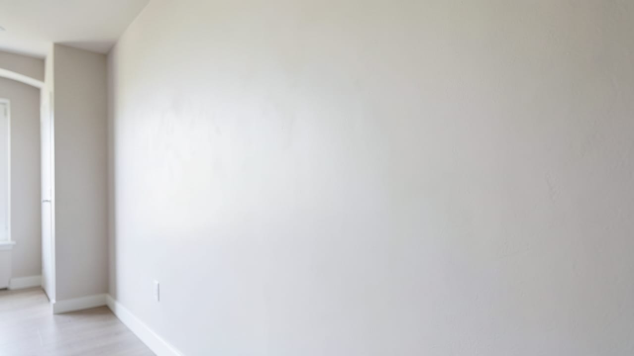 Plaster Mold Remediation in Freehold, NJ in Freehold