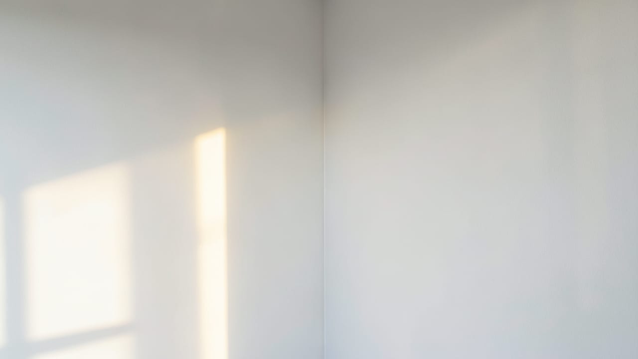 Apartment Mold Remediation in Norristown, PA in Norristown