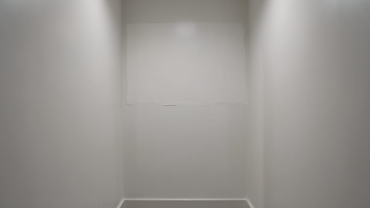Drywall Mold Remediation in Norristown, PA in Norristown