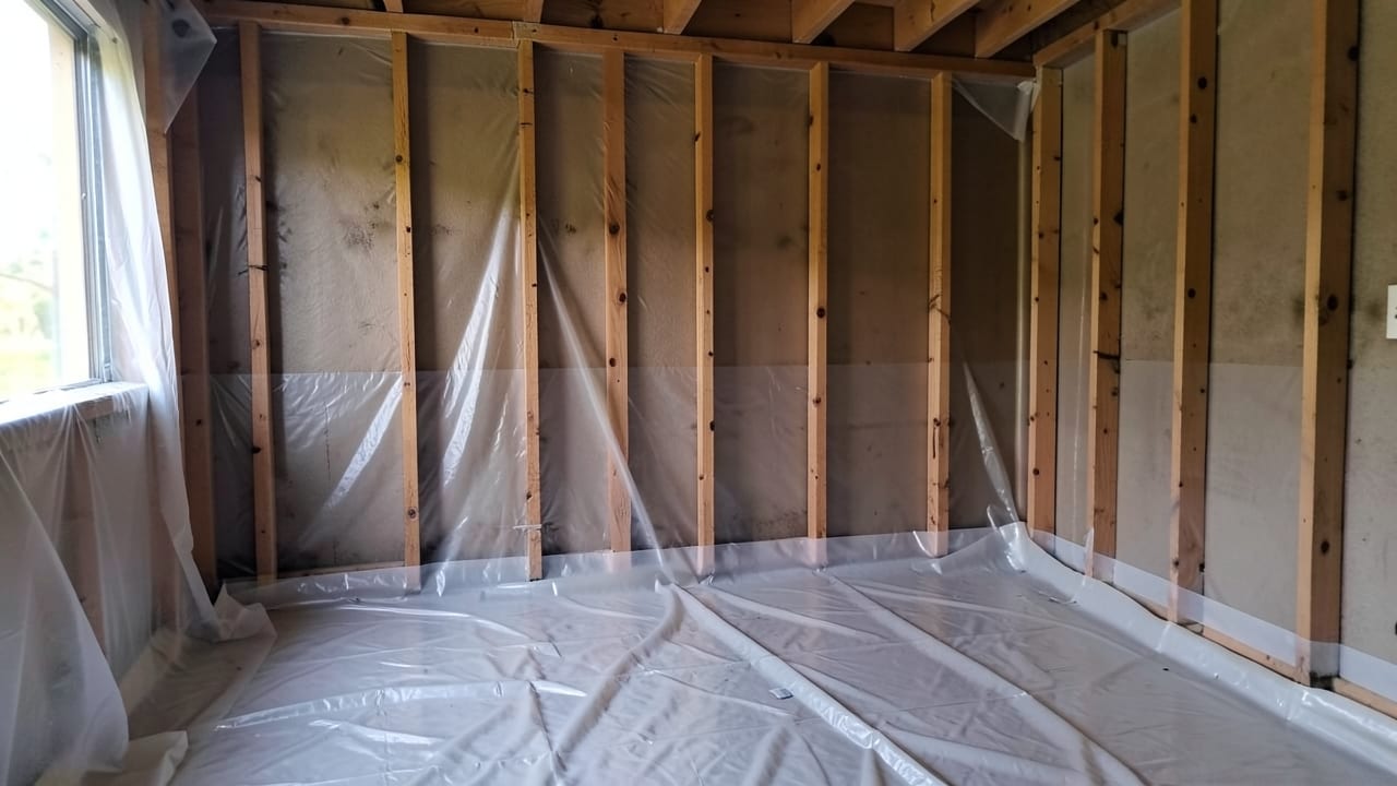 Mold Removal & Remediation in Norristown, PA in Norristown