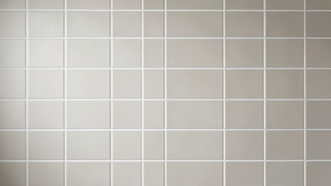 Tile & Grout Mold Cleanup in Norristown, PA in Norristown