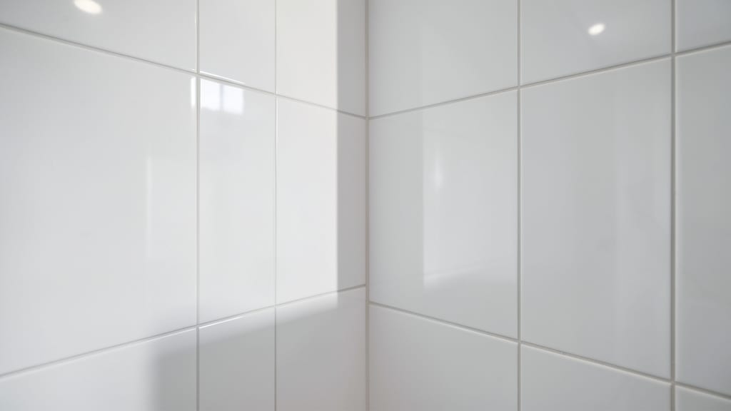 DIY Mold Prevention: Simple Steps for Newport Residents