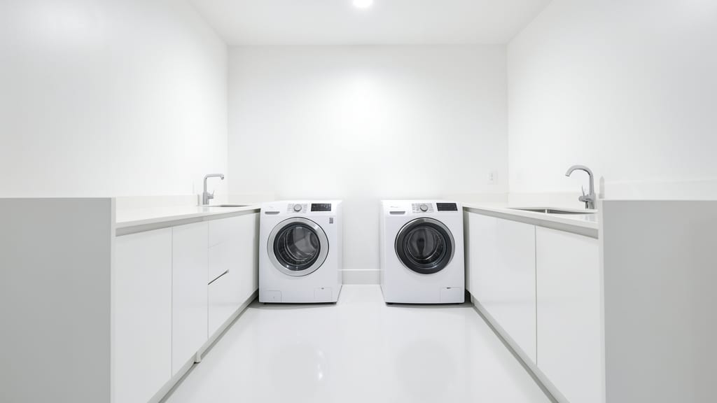How to Choose a Certified Mold Remediation Company in Newport