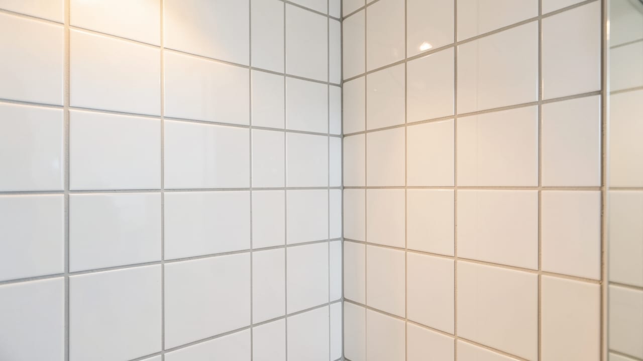 Bathroom Mold Removal in Newport, RI in Newport