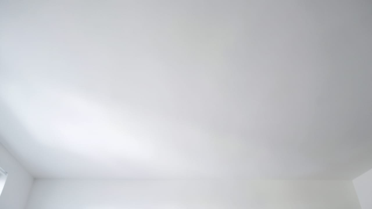 Ceiling Mold Removal in Newport, RI in Newport