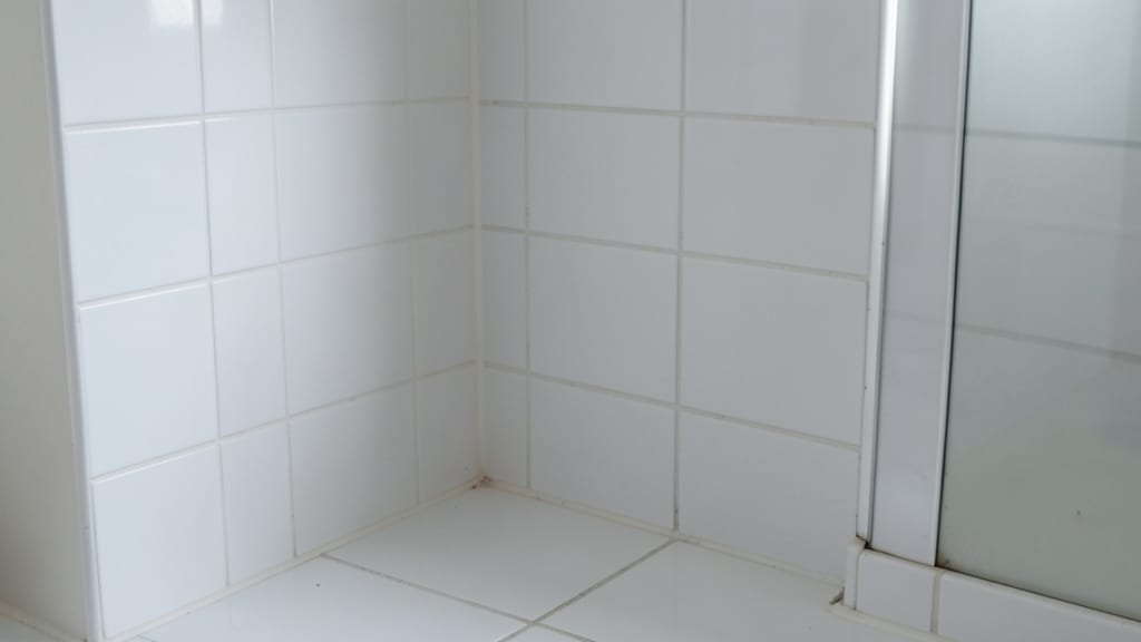 Understanding Clearance Testing Protocols for Mold Remediation in North Beach