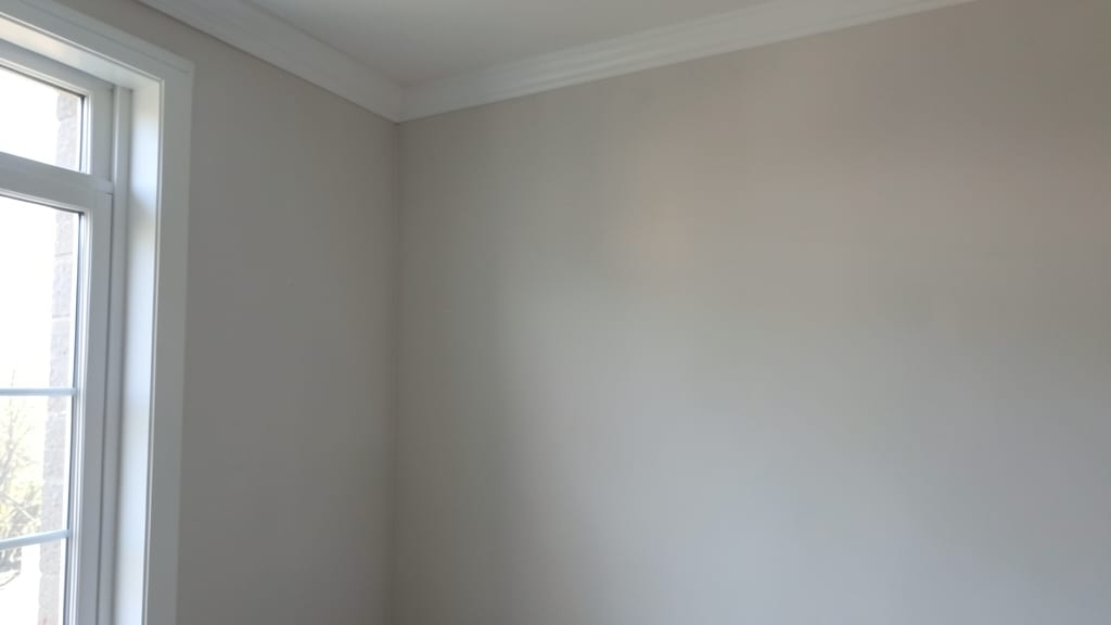 Common Mold Hotspots in North Beach Homes and How Inspections Find Them