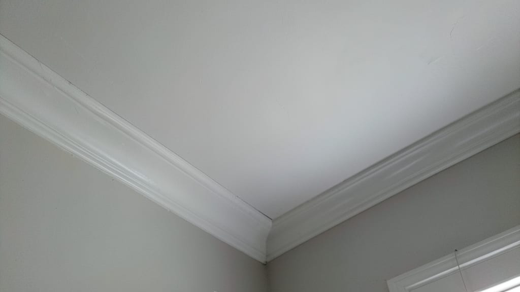 How to Compare Mold Remediation Estimates in North Beach