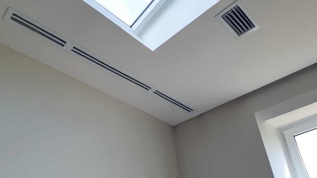 How to File a Mold-Related Insurance Claim in North Beach