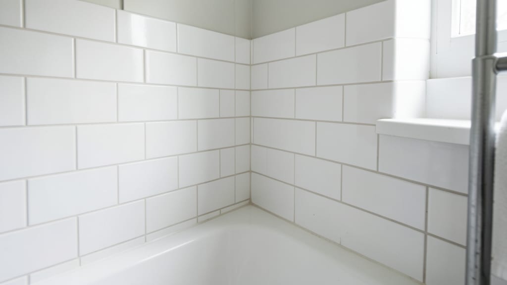 Legal Considerations for Mold Remediation in North Beach