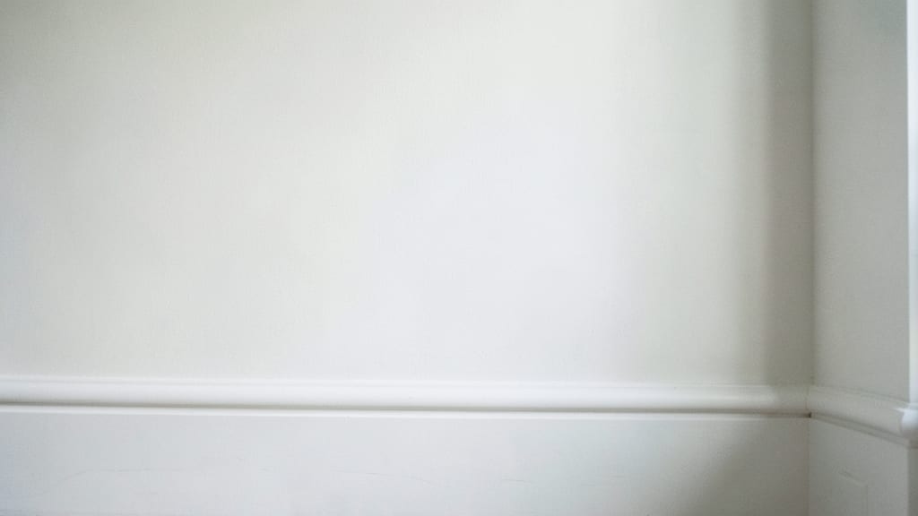 The Long-Term Costs of DIY Mold Removal in North Beach