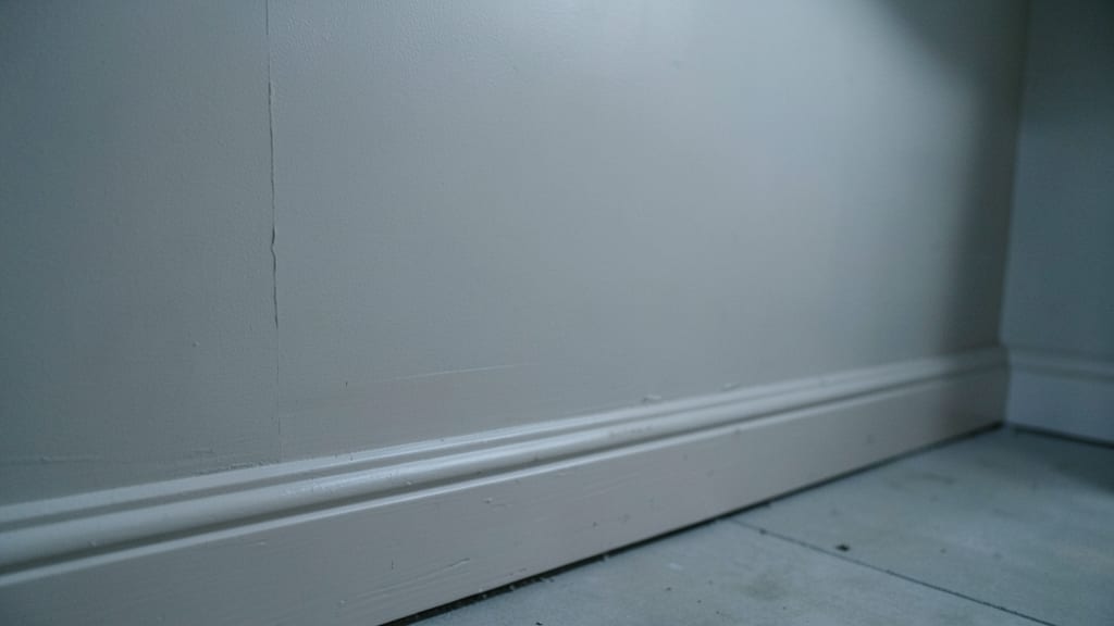 How Mold in North Beach Homes Can Worsen Allergies