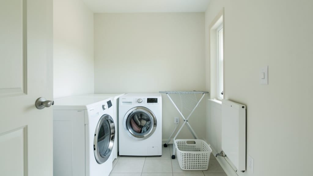 How to Prevent Mold in Your North Beach Laundry Room