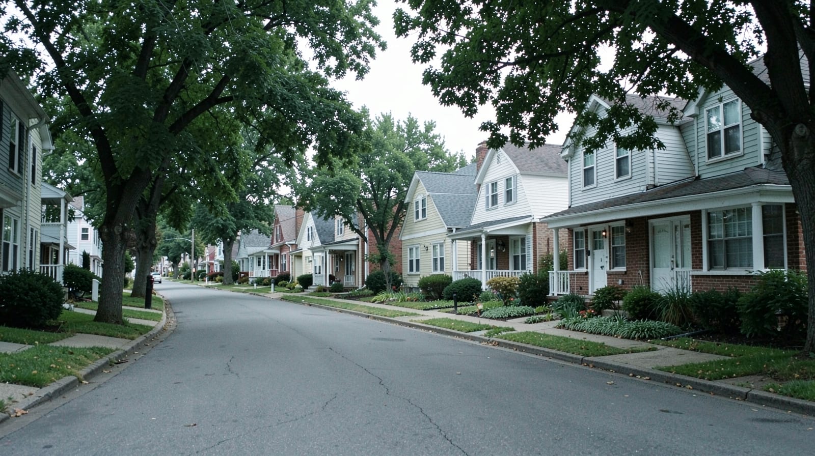 Pre-Sale Mold Clearance in Deale, MD