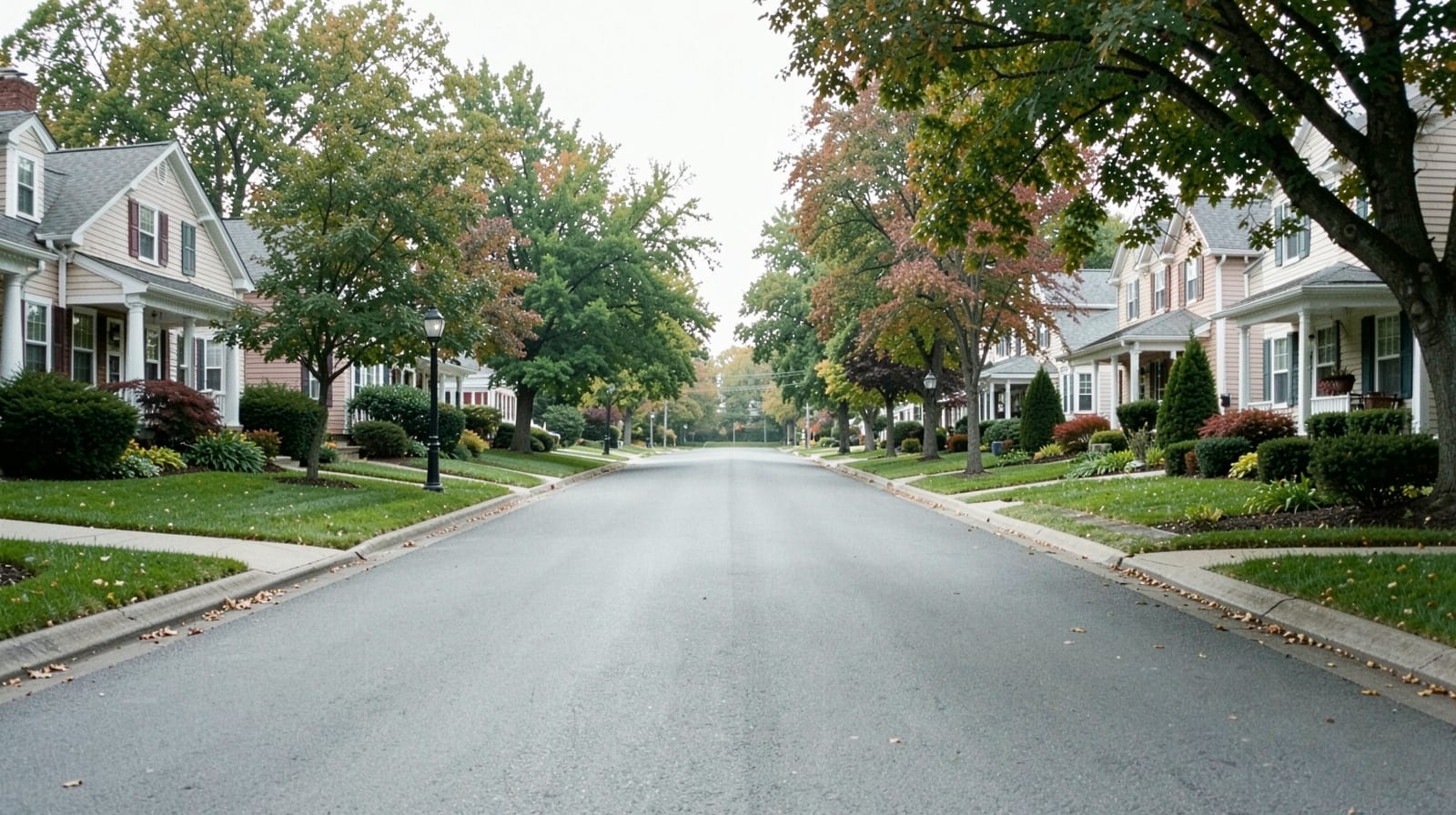 Mold Prevention & Moisture Control in Dunkirk, MD