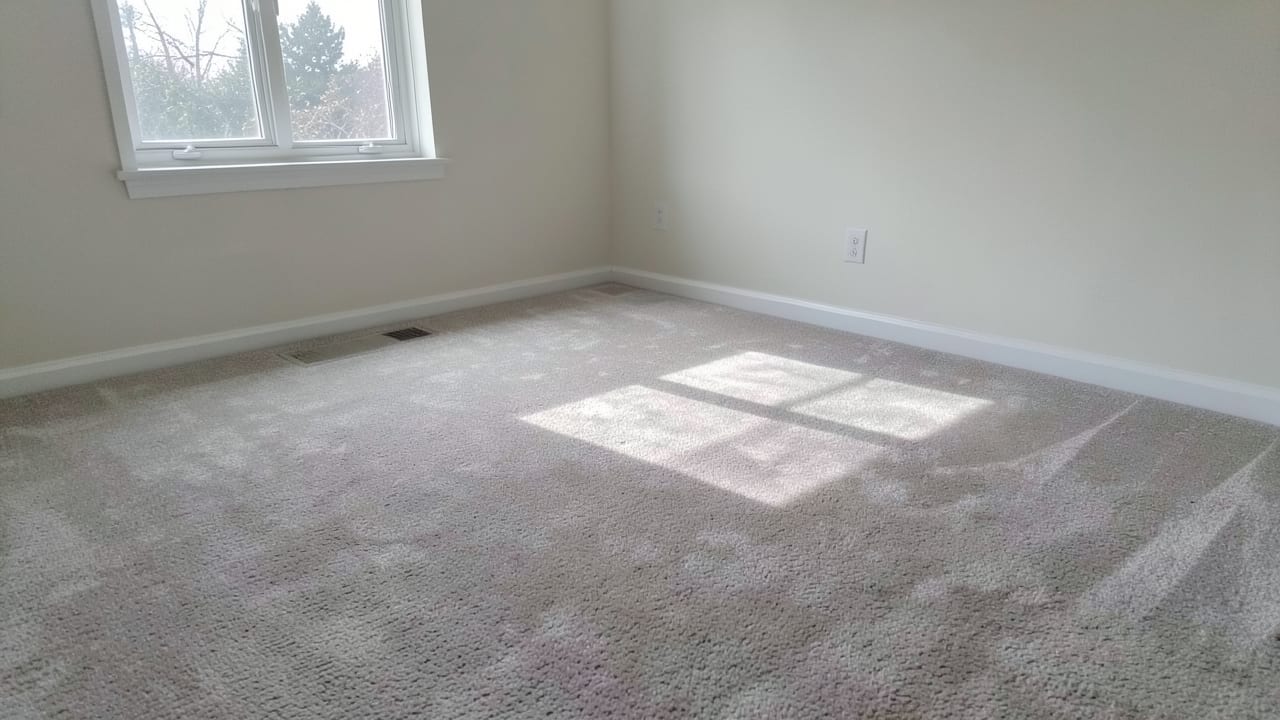 Carpet Mold Treatment in North Beach, MD in North Beach