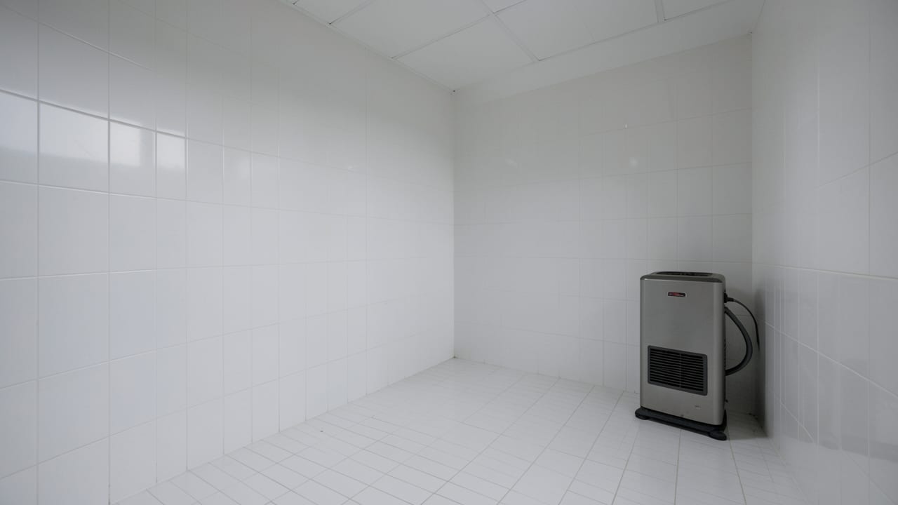 Hotel Mold Remediation in North Beach, MD in North Beach