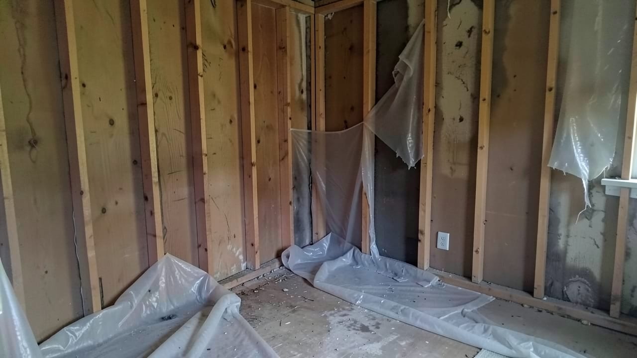 Mold Removal & Remediation in North Beach, MD in North Beach