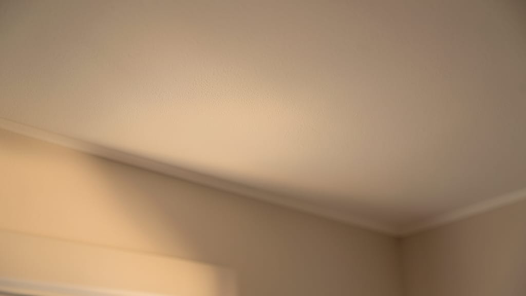 Commercial Mold Remediation: EPA and OSHA Compliance for Park Hall Schools and Hospitals